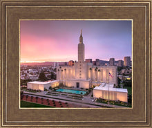 Load image into Gallery viewer, Los Angeles Weathering the Storm
