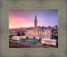 Load image into Gallery viewer, Los Angeles Weathering the Storm
