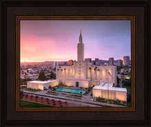 Load image into Gallery viewer, Los Angeles Weathering the Storm
