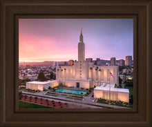 Load image into Gallery viewer, Los Angeles Weathering the Storm
