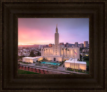 Load image into Gallery viewer, Los Angeles Weathering the Storm
