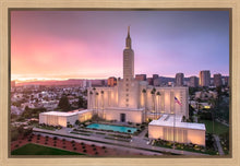Load image into Gallery viewer, Los Angeles Weathering the Storm

