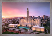 Load image into Gallery viewer, Los Angeles Weathering the Storm
