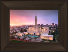 Load image into Gallery viewer, Los Angeles Weathering the Storm
