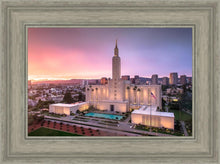 Load image into Gallery viewer, Los Angeles Weathering the Storm
