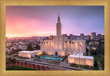 Load image into Gallery viewer, Los Angeles Weathering the Storm
