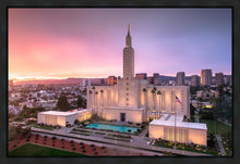 Load image into Gallery viewer, Los Angeles Weathering the Storm
