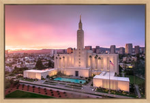 Load image into Gallery viewer, Los Angeles Weathering the Storm
