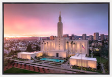 Load image into Gallery viewer, Los Angeles Weathering the Storm

