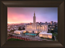 Load image into Gallery viewer, Los Angeles Weathering the Storm
