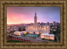 Load image into Gallery viewer, Los Angeles Weathering the Storm
