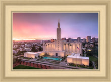 Load image into Gallery viewer, Los Angeles Weathering the Storm
