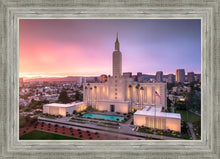 Load image into Gallery viewer, Los Angeles Weathering the Storm
