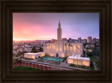 Load image into Gallery viewer, Los Angeles Weathering the Storm
