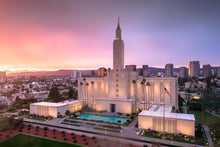 Load image into Gallery viewer, Los Angeles Weathering the Storm
