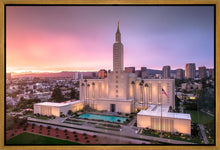 Load image into Gallery viewer, Los Angeles Weathering the Storm
