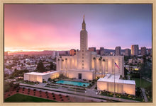 Load image into Gallery viewer, Los Angeles Weathering the Storm
