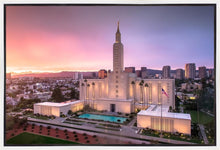 Load image into Gallery viewer, Los Angeles Weathering the Storm
