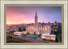 Load image into Gallery viewer, Los Angeles Weathering the Storm
