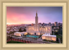 Load image into Gallery viewer, Los Angeles Weathering the Storm
