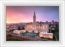 Load image into Gallery viewer, Los Angeles Weathering the Storm
