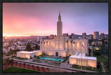 Load image into Gallery viewer, Los Angeles Weathering the Storm
