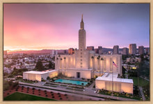 Load image into Gallery viewer, Los Angeles Weathering the Storm
