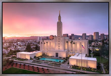 Load image into Gallery viewer, Los Angeles Weathering the Storm
