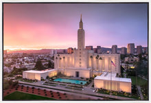 Load image into Gallery viewer, Los Angeles Weathering the Storm

