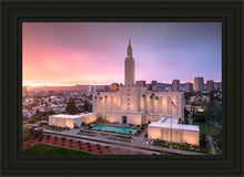 Load image into Gallery viewer, Los Angeles Weathering the Storm
