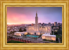 Load image into Gallery viewer, Los Angeles Weathering the Storm
