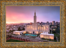 Load image into Gallery viewer, Los Angeles Weathering the Storm
