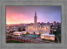 Load image into Gallery viewer, Los Angeles Weathering the Storm

