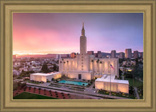 Load image into Gallery viewer, Los Angeles Weathering the Storm
