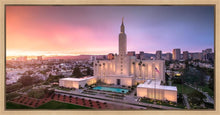 Load image into Gallery viewer, Los Angeles Weathering the Storm
