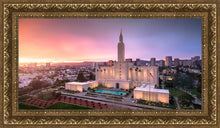 Load image into Gallery viewer, Los Angeles Weathering the Storm
