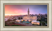 Load image into Gallery viewer, Los Angeles Weathering the Storm
