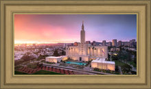 Load image into Gallery viewer, Los Angeles Weathering the Storm
