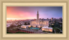 Load image into Gallery viewer, Los Angeles Weathering the Storm
