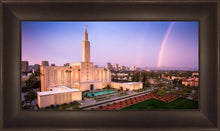 Load image into Gallery viewer, Los Angeles Weathering the Storm
