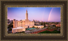 Load image into Gallery viewer, Los Angeles Weathering the Storm
