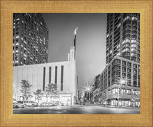 Load image into Gallery viewer, New York Panorama
