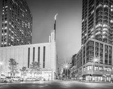 Load image into Gallery viewer, New York Panorama
