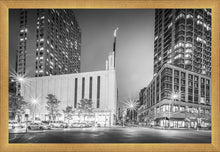 Load image into Gallery viewer, New York Panorama
