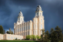 Load image into Gallery viewer, Manti - Stormy Skies
