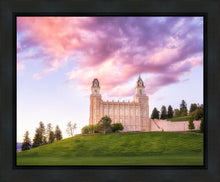 Load image into Gallery viewer, Manti Cotton Candy
