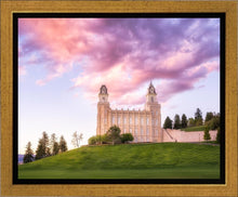Load image into Gallery viewer, Manti Cotton Candy
