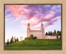 Load image into Gallery viewer, Manti Cotton Candy
