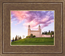 Load image into Gallery viewer, Manti Cotton Candy
