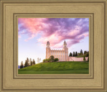 Load image into Gallery viewer, Manti Cotton Candy
